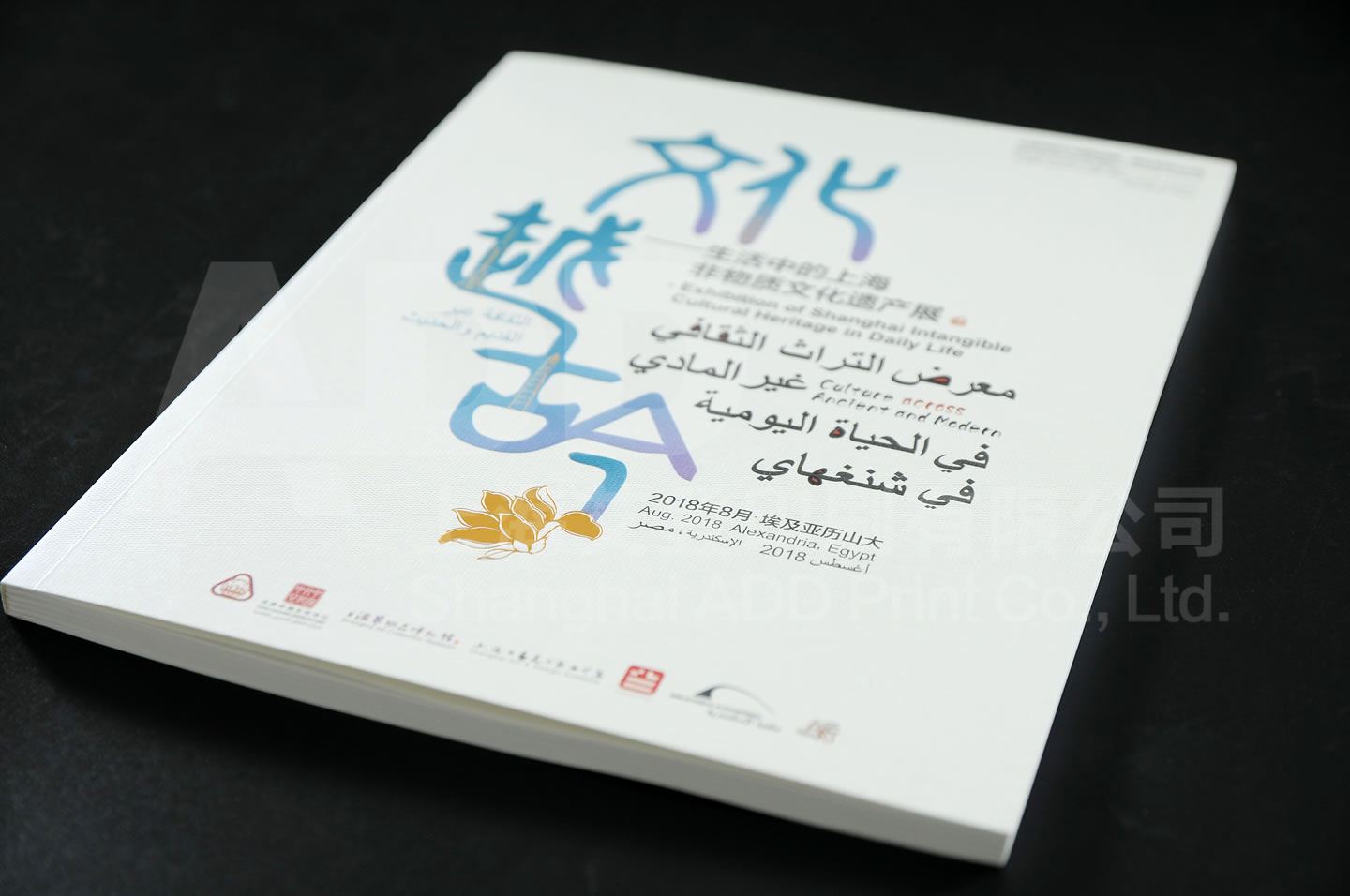 上海市政府文化越(yue)古(gu)今(jin)画册